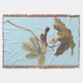 Audubon Swamp Sparrow Bird on Wild Mandrake Decke (Vorderseite)