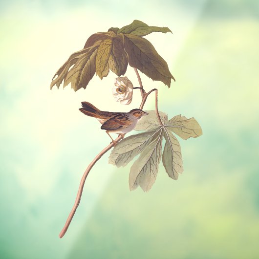 Audubon Swamp Sparrow Bird on Wild Mandrake Fensteraufkleber (Blatt 3)