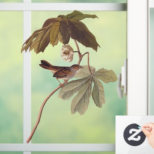 Audubon Swamp Sparrow Bird on Wild Mandrake Fensteraufkleber (Zuhause)