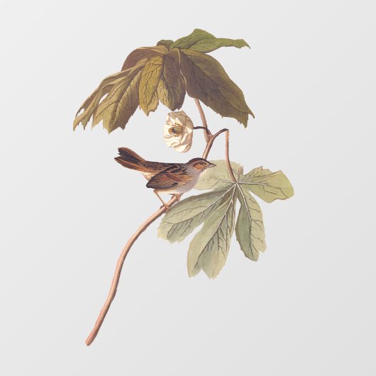 Audubon Swamp Sparrow Bird on Wild Mandrake Fensteraufkleber (Blatt)