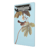 Audubon Swamp Sparrow Bird on Wild Mandrake Mini Klemmbrett (Gewinkelt2)