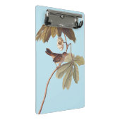 Audubon Swamp Sparrow Bird on Wild Mandrake Mini Klemmbrett (Schrägansicht)