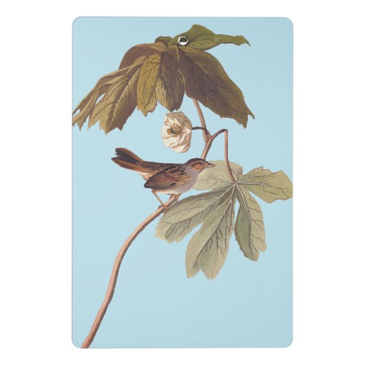Audubon Swamp Sparrow Bird on Wild Mandrake Mini Klemmbrett (Rückseite)