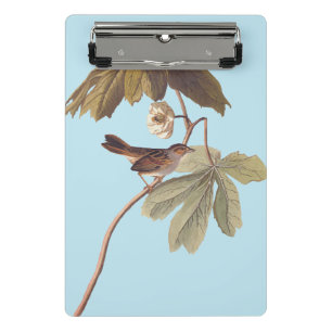 Audubon Swamp Sparrow Bird on Wild Mandrake Mini Klemmbrett