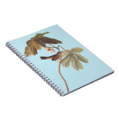 Audubon Swamp Sparrow Bird on Wild Mandrake Notizblock (Rechte Seite)