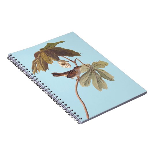 Audubon Swamp Sparrow Bird on Wild Mandrake Notizblock (Rechte Seite)