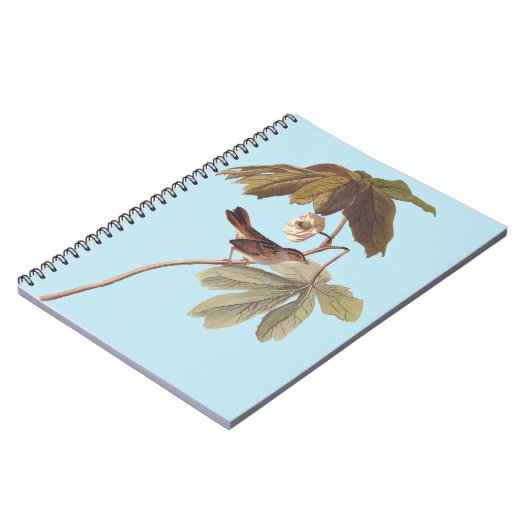 Audubon Swamp Sparrow Bird on Wild Mandrake Notizblock (Linke Seite)