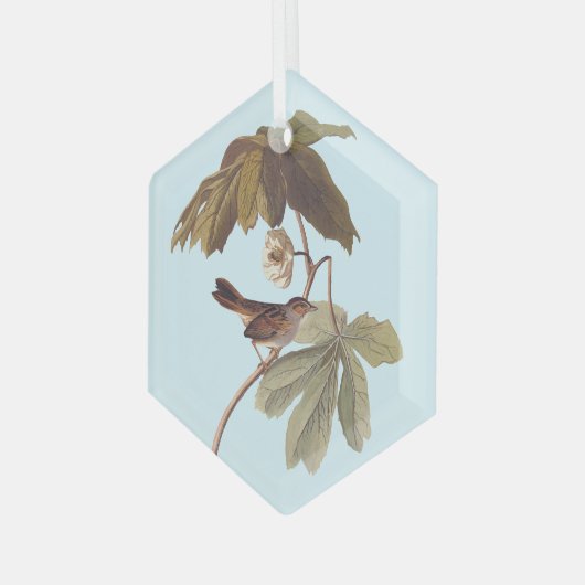 Audubon Swamp Sparrow Bird on Wild Mandrake Ornament Aus Glas (Vorderseite Links)