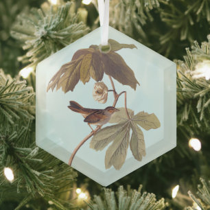 Audubon Swamp Sparrow Bird on Wild Mandrake Ornament Aus Glas