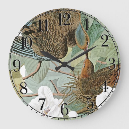 Audubon Tauben-Vogel-Tiertier-Wanduhr Große Wanduhr (Vorderseite)