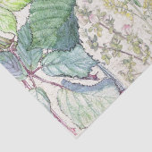 Audubon Tauben-Vogel-Wildblume-Blumen-Seidenpapier Seidenpapier (Detail)