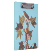 Audubon Traill's Flycatcher Songbird Klemmbrett (Rechts)