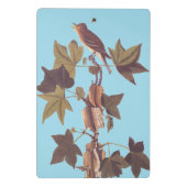 Audubon Traill's Flycatcher Songbird Mini Klemmbrett (Rückseite)