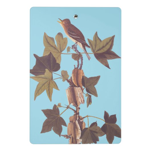 Audubon Traill's Flycatcher Songbird Mini Klemmbrett (Rückseite)