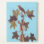 Audubon Traill's Flycatcher Songbird Planer (Rückseite)