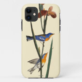 Audubon: Trällerer Case-Mate iPhone Hülle (Rückseite)
