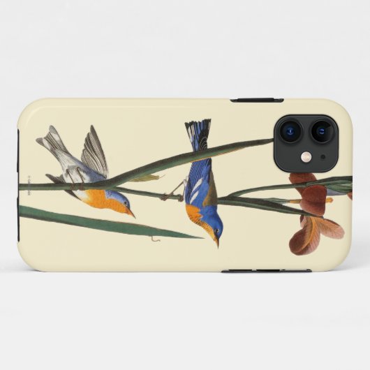 Audubon: Trällerer Case-Mate iPhone Hülle (Rückseite (Horizontal))