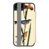 Audubon: Trällerer Incipio iPhone Geldbeutel-Hülle (Folio Rückseite)