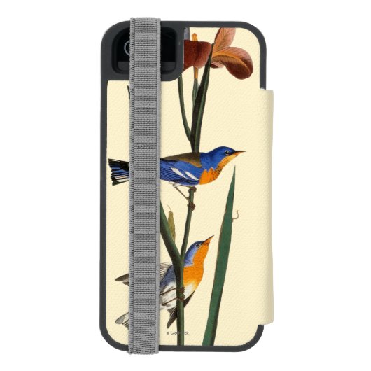 Audubon: Trällerer Incipio iPhone Geldbeutel-Hülle (Folio Rückseite)