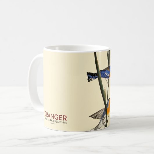 Audubon: Trällerer Kaffeetasse (Vorderseite Links)