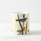 Audubon: Trällerer Kaffeetasse (Mittel)