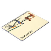 Audubon: Trällerer Notizblock (Linke Seite)