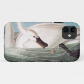 Audubon: Trompeters-Schwan Case-Mate iPhone Hülle (Rückseite (Horizontal))