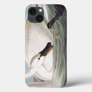 Audubon: Trompeters-Schwan Case-Mate iPhone Hülle