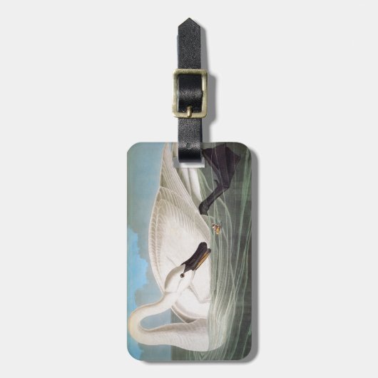 Audubon: Trompeters-Schwan Gepäckanhänger (Vorderseite vertikal)