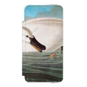 Audubon: Trompeters-Schwan Incipio iPhone Geldbeutel-Hülle (Folio Vorderseite)