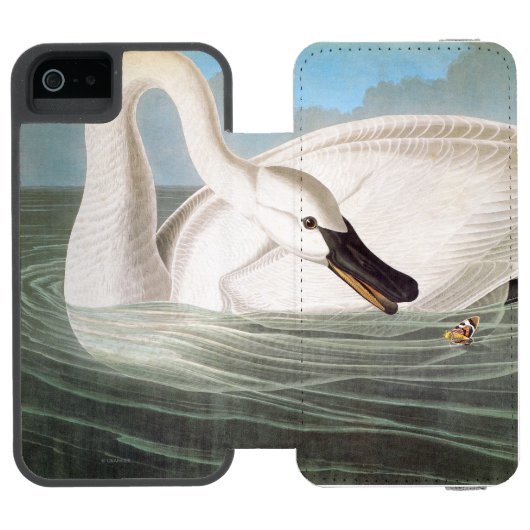 Audubon: Trompeters-Schwan Incipio iPhone Geldbeutel-Hülle (Folio Geöffnet)