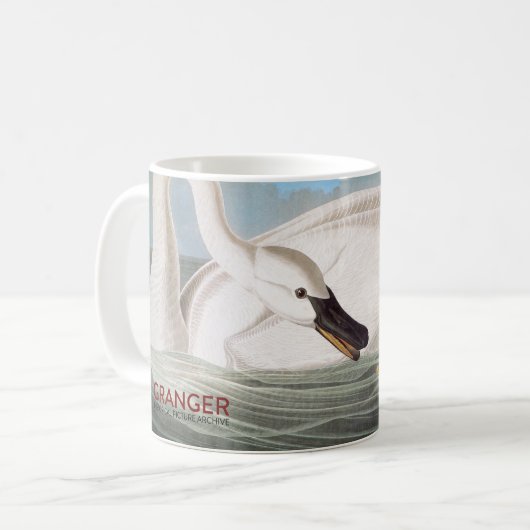 Audubon: Trompeters-Schwan Kaffeetasse (Vorderseite Links)
