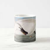 Audubon: Trompeters-Schwan Kaffeetasse (Mittel)