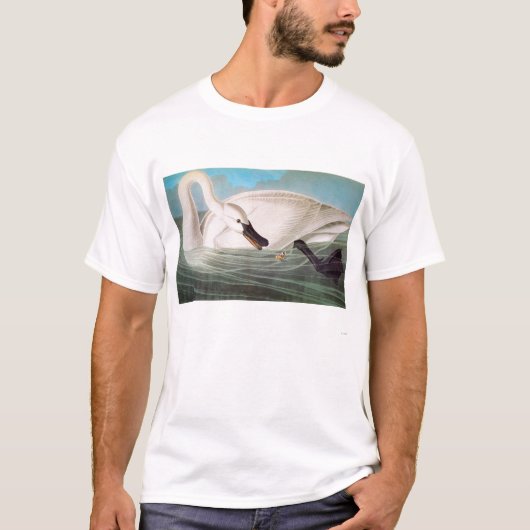 Audubon: Trompeters-Schwan T-Shirt (Vorderseite)