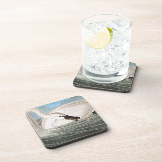 Audubon: Trompeters-Schwan Untersetzer (Rechte Seite)