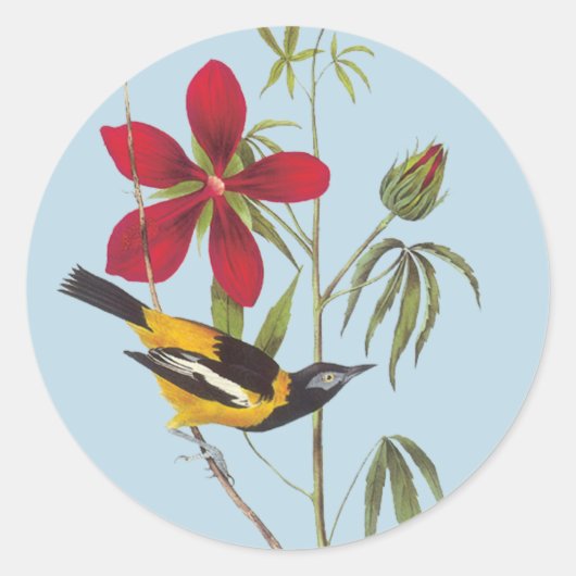 Audubon Troupial Bird Art Stickers (Vorderseite)
