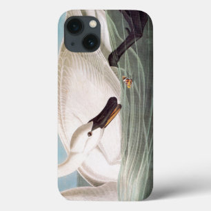 Audubon: Trumpeter Swan Case-Mate iPhone Hülle