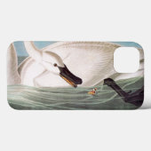 Audubon: Trumpeter Swan Case-Mate iPhone Hülle (Rückseite (Horizontal))