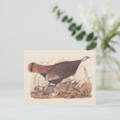 Audubon Turkey Hen und Chicks im Herbst Postkarte (Stehend Vorderseite)