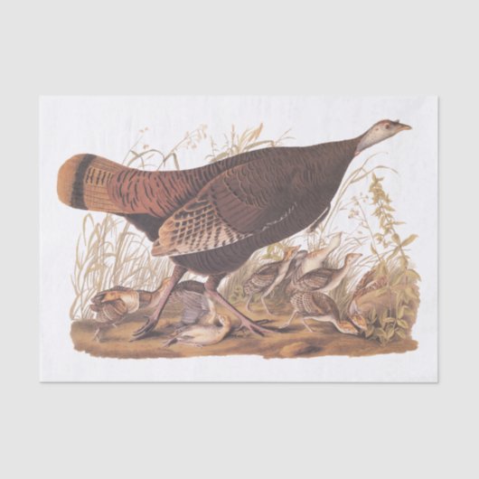 Audubon Turkey Hen und Chicks im Herbst Seidenpapier (Vorderseite)