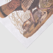 Audubon Turkey Hen und Chicks im Herbst Seidenpapier (Ausschnitt)