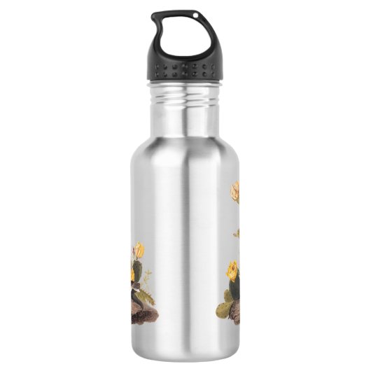 Audubon Vesper Sparrow und Prickly Pear Cactus Edelstahlflasche (Rückseite)