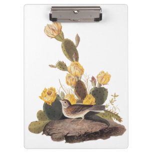 Audubon Vesper Sparrow und Prickly Pear Cactus Klemmbrett