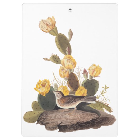 Audubon Vesper Sparrow und Prickly Pear Cactus Klemmbrett (Rückseite)