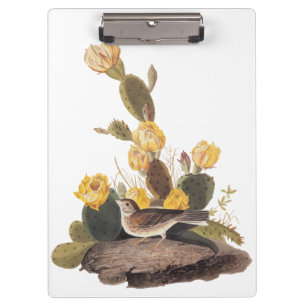Audubon Vesper Sparrow und Prickly Pear Cactus Klemmbrett