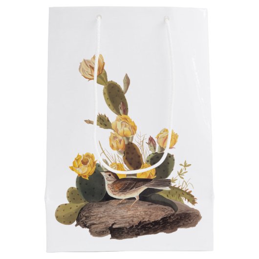 Audubon Vesper Sparrow und Prickly Pear Cactus Mittlere Geschenktüte (Rückseite)