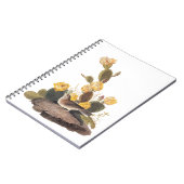 Audubon Vesper Sparrow und Prickly Pear Cactus Notizblock (Linke Seite)