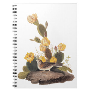 Audubon Vesper Sparrow und Prickly Pear Cactus Notizblock