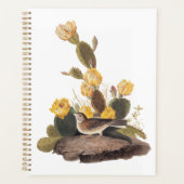 Audubon Vesper Sparrow und Prickly Pear Cactus Planer (Vorderseite)