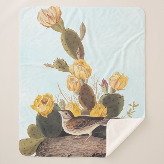 Audubon Vesper Sparrow und Prickly Pear Cactus Sherpadecke (Vorderseite)